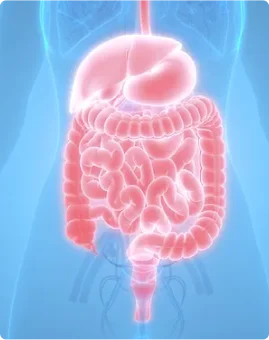 Le bypass gastrique à Casablanca – Un traitement chirurgical complet contre l’obésité